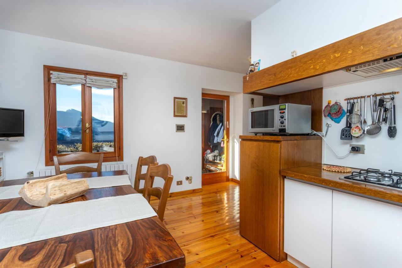 Ligosullo Panoramic House Carnia - Mountain View Apt With Parking And Terracesヴィラ エクステリア 写真